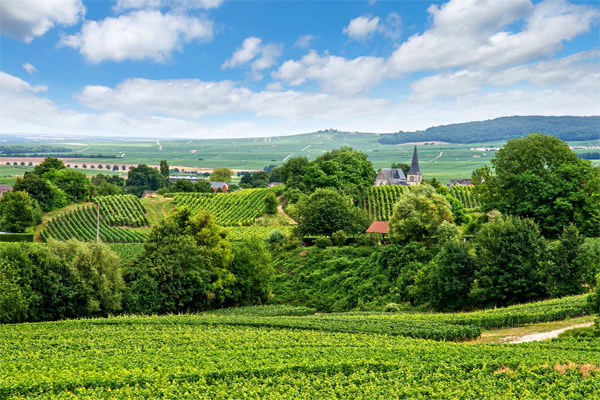 Champagne Ardennen