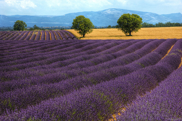 Provence/Côte d'Azur