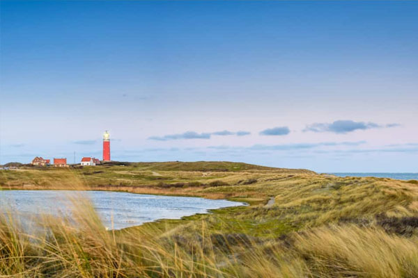 Texel